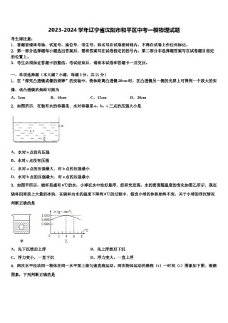 2023-2024学年辽宁省沈阳市和平区中考一模物理试题含解析.doc