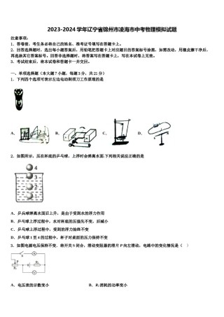 2023-2024学年辽宁省锦州市凌海市中考物理模拟试题含解析.doc