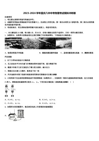2023-2024学年重庆八中中考物理考试模拟冲刺卷含解析.doc