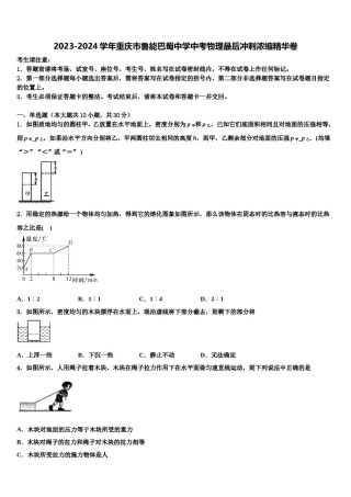2023-2024学年重庆市鲁能巴蜀中学中考物理最后冲刺浓缩精华卷含解析.doc