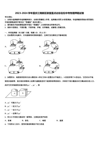 2023-2024学年重庆江南新区联盟重点达标名校中考物理押题试卷含解析.doc