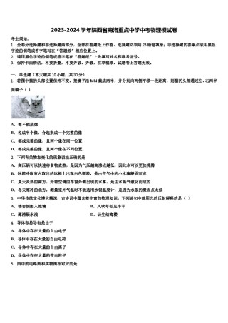 2023-2024学年陕西省商洛重点中学中考物理模试卷含解析.doc