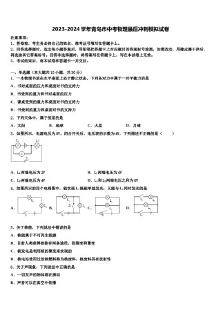 2023-2024学年青岛市中考物理最后冲刺模拟试卷含解析.doc