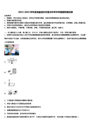 2023-2024学年青海省海北市重点中学中考猜题物理试卷含解析.doc
