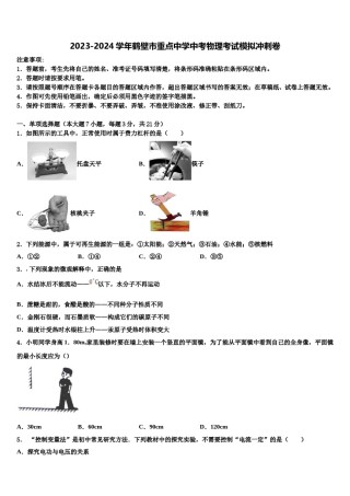 2023-2024学年鹤壁市重点中学中考物理考试模拟冲刺卷含解析.doc