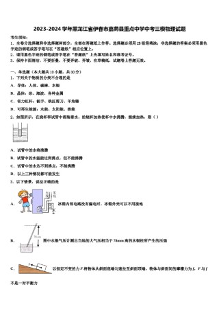 2023-2024学年黑龙江省伊春市嘉荫县重点中学中考三模物理试题含解析.doc