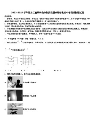 2023-2024学年黑龙江省双鸭山市集贤县重点达标名校中考四模物理试题含解析.doc