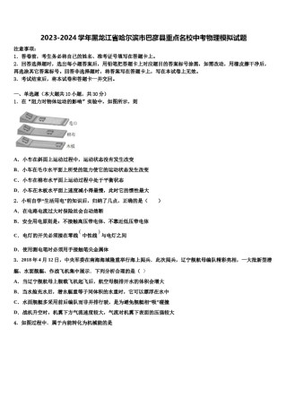 2023-2024学年黑龙江省哈尔滨市巴彦县重点名校中考物理模拟试题含解析.doc