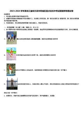 2023-2024学年黑龙江省哈尔滨市阿城区重点名校中考试题猜想物理试卷含解析.doc