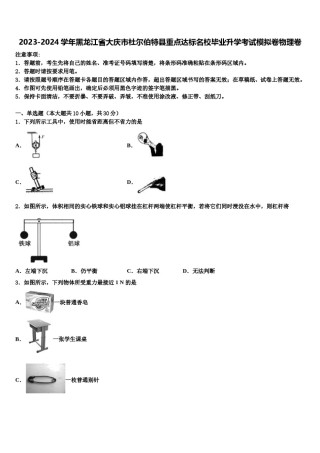 2023-2024学年黑龙江省大庆市杜尔伯特县重点达标名校毕业升学考试模拟卷物理卷含解析.doc