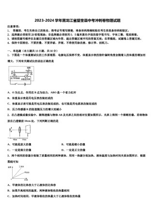 2023-2024学年黑龙江省望奎县中考冲刺卷物理试题含解析.doc
