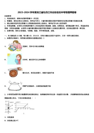 2023-2024学年黑龙江省牡丹江市达标名校中考物理押题卷含解析.doc