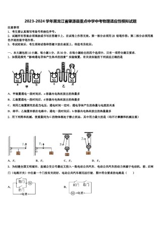 2023-2024学年黑龙江省肇源县重点中学中考物理适应性模拟试题含解析.doc
