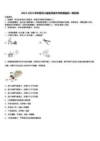 2023-2024学年黑龙江省集贤县中考物理最后一模试卷含解析.doc