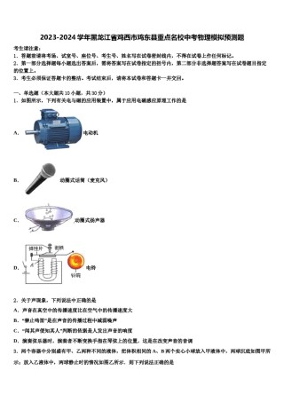 2023-2024学年黑龙江省鸡西市鸡东县重点名校中考物理模拟预测题含解析.doc