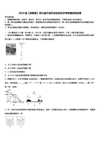 2024届【浙教版】浙江省宁波市达标名校中考物理仿真试卷含解析.doc