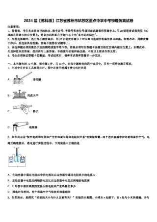 2024届【苏科版】江苏省苏州市姑苏区重点中学中考物理仿真试卷含解析.doc