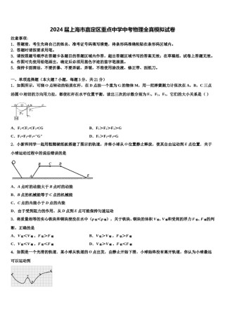 2024届上海市嘉定区重点中学中考物理全真模拟试卷含解析.doc