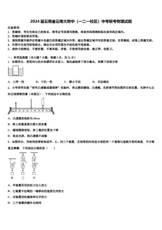 2024届云南省云南大附中（一二一校区）中考联考物理试题含解析.doc