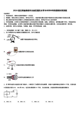 2024届云南省曲靖市沾益区播乐乡罗木中学中考物理模拟预测题含解析.doc