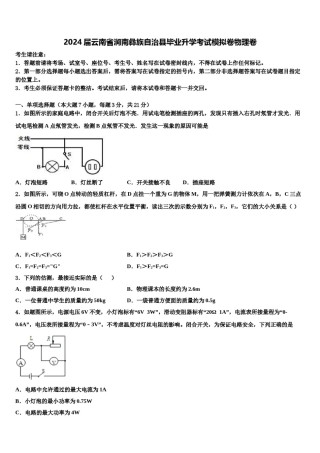 2024届云南省涧南彝族自治县毕业升学考试模拟卷物理卷含解析.doc
