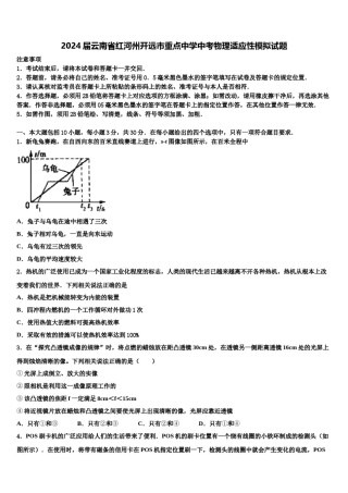 2024届云南省红河州开远市重点中学中考物理适应性模拟试题含解析.doc