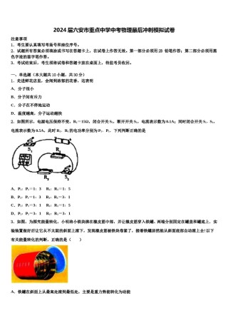 2024届六安市重点中学中考物理最后冲刺模拟试卷含解析.doc