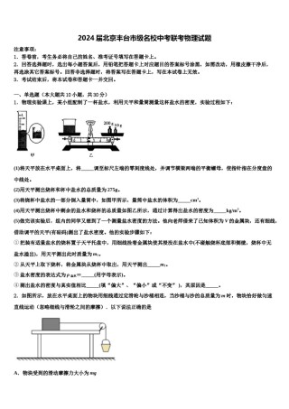 2024届北京丰台市级名校中考联考物理试题含解析.doc