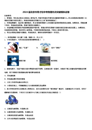 2024届北京市育才校中考物理对点突破模拟试卷含解析.doc