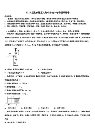 2024届北京理工大附中分校中考物理押题卷含解析.doc
