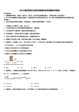 2024届北京育才校初中物理毕业考试模拟冲刺卷含解析.doc
