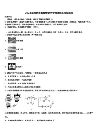 2024届合肥市寿春中学中考物理全真模拟试题含解析.doc