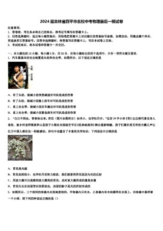 2024届吉林省四平市名校中考物理最后一模试卷含解析.doc