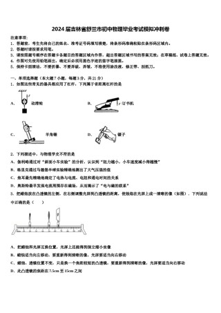 2024届吉林省舒兰市初中物理毕业考试模拟冲刺卷含解析.doc