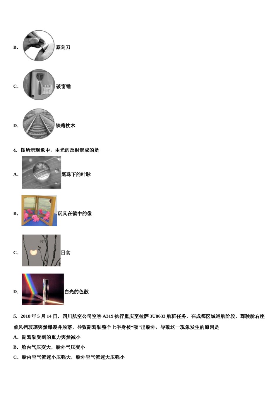 2024届四川省大邑县晋原初中中考物理押题试卷含解析.doc_第2页