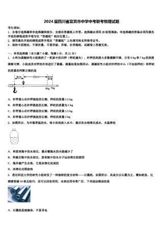 2024届四川省宜宾市中学中考联考物理试题含解析.doc