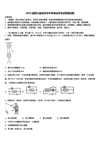 2024届四川省宜宾市中考适应性考试物理试题含解析.doc