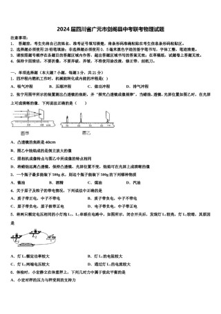 2024届四川省广元市剑阁县中考联考物理试题含解析.doc