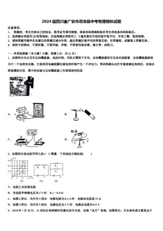 2024届四川省广安市岳池县中考物理模拟试题含解析.doc