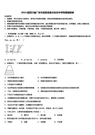 2024届四川省广安市武胜县重点名校中考物理猜题卷含解析.doc
