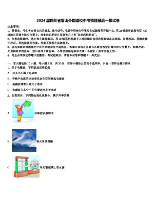 2024届四川省眉山外国语校中考物理最后一模试卷含解析.doc