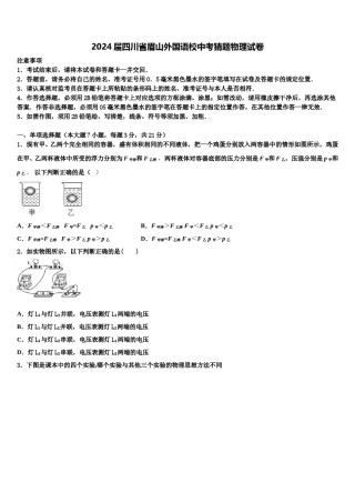 2024届四川省眉山外国语校中考猜题物理试卷含解析.doc