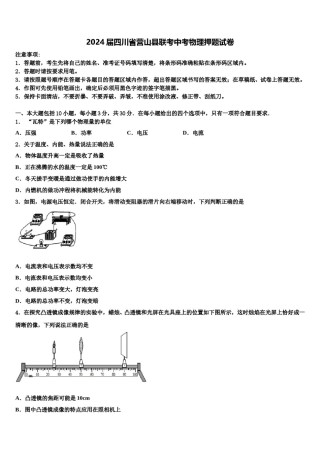 2024届四川省营山县联考中考物理押题试卷含解析.doc