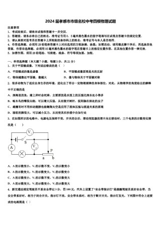 2024届孝感市市级名校中考四模物理试题含解析.doc