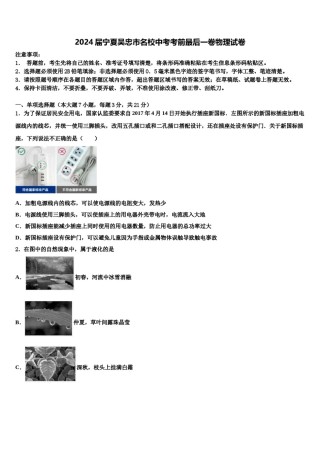 2024届宁夏吴忠市名校中考考前最后一卷物理试卷含解析.doc