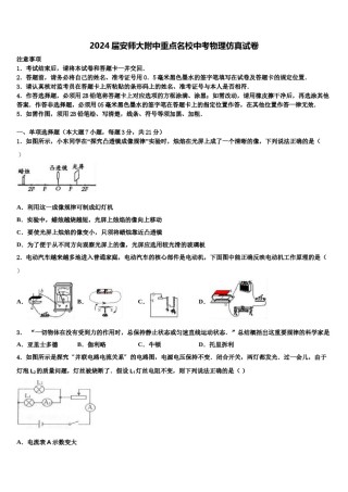 2024届安师大附中重点名校中考物理仿真试卷含解析.doc