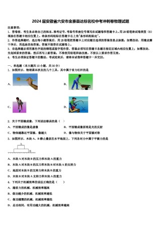 2024届安徽省六安市金寨县达标名校中考冲刺卷物理试题含解析.doc