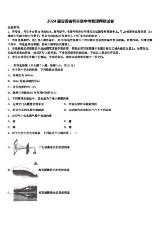 2024届安徽省利辛县中考物理押题试卷含解析.doc