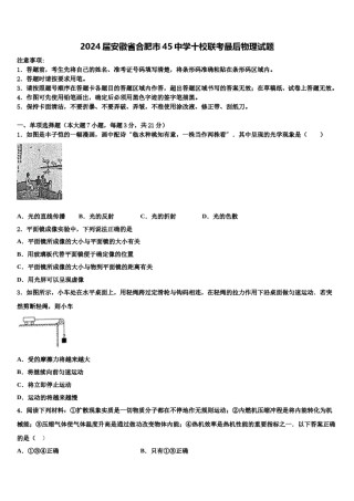 2024届安徽省合肥市45中学十校联考最后物理试题含解析.doc