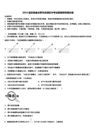 2024届安徽省合肥市滨湖区中考试题猜想物理试卷含解析.doc